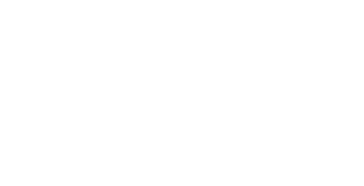 Technologie stable logo